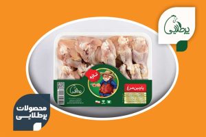 پاچین-مرغ-پرطلایی