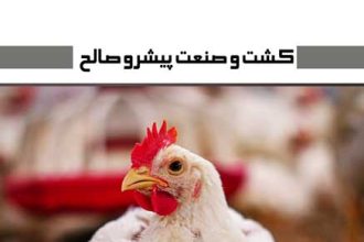 واحد-پرورش-مرغ-گوشتی