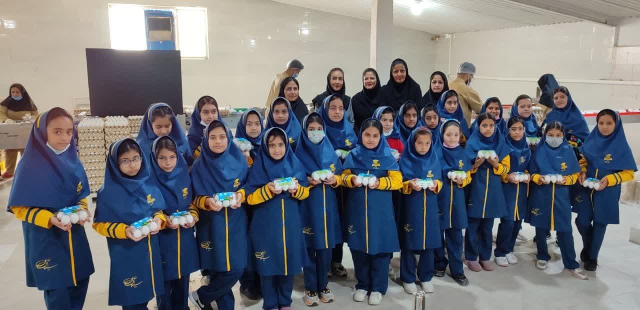 روز جهانی تخم مرغ